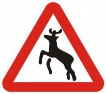 Atenție, Moose! (Load bază de date Cache Storage) Atenție, Moose!