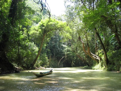 Insula borneo (borneo) Insula Borneo