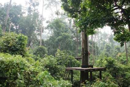 Insula Borneo (Insula) Insula Borneo