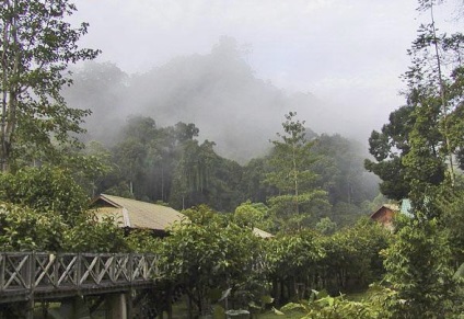 Insula Kalimantan (Borneo), Insulele Mondiale (Dayak) Insula Kalimantan (Borneo), insule ale lumii