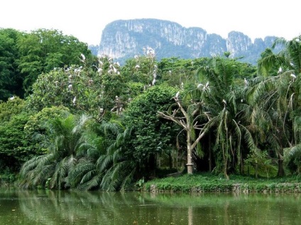 Insula Kalimantan (Borneo), Insula Lumii (Statul Brunei Darussalam) Insula Kalimantan (Borneo), insule ale lumii