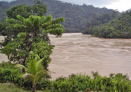 Insula Kalimantan (Borneo), Insula Lumii (Kalimantan) Insula Kalimantan (Borneo), insule ale lumii