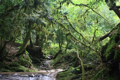 Odihna in s (turism) Odihnească-se în s
