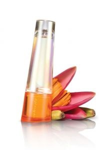 paleta de parfum Meri cheie (Mary) Meri paleta cheie parfum