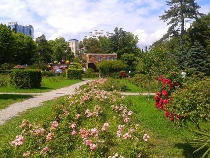 Parcuri și dendroparks Soci (dendroparks) Parcuri și arborete Soci