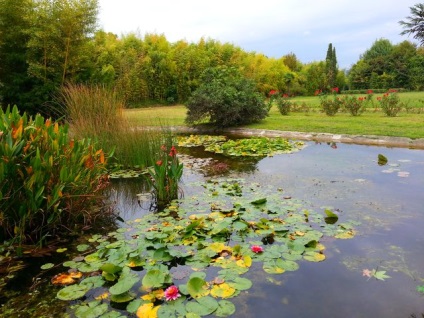 Parcuri și arborete Soci