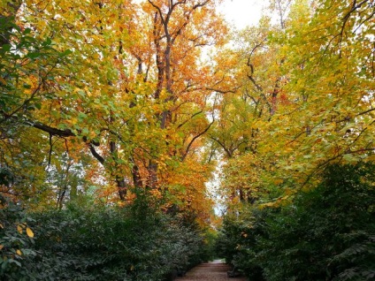 Parcuri și dendroparks Soci (dendroparks) Parcuri și arborete Soci