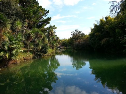 Parcuri și arboretele Soci (parcuri) Parcuri și arborete Soci