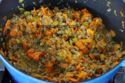 paste Bolognese (paste alla bolognese), picantecooking