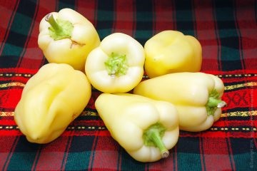 Pepper umplute cu carne de pui înăbușită și orez (pui) Ardei umplute cu carne de pui și orez tocană