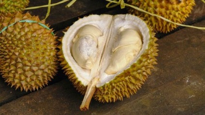 Proprietăți utile de Durian - beneficiu sau rău (Durian) Proprietăți utile de Durian - beneficiu sau rău