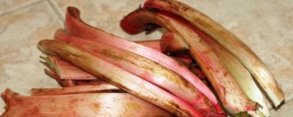 Plantare de grădina rubarbă să crească! (Rubarbă) Plantare de grădina rubarbă să crească!
