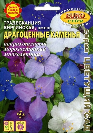 Plantarea specii și proprietăți utile ale plantelor camerei Tradescantia (tipuri de îngrijire de plantare de proprietăți utile ale plantelor Tradescantia camera de flori) Plantarea specii și proprietăți utile ale plantelor camerei Tradescantia