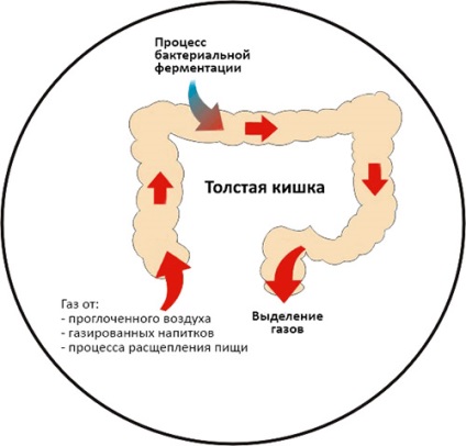 Din motive flatulență constante care fac posibila boala, metode de prevenire (simptome) Din motive flatulență constante care fac posibile boli, metode de prevenire