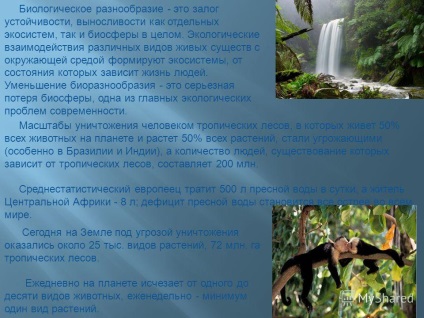 Prezentare privind degradarea mediului (de mediu) Prezentare privind degradarea mediului
