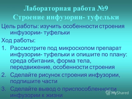 Prezentarea pe verificarea temelor caracterizează caracteristicile structurii celei mai simple (verificarea) Prezentarea pe verificarea caracteristici temele caracterizarea structurii simple