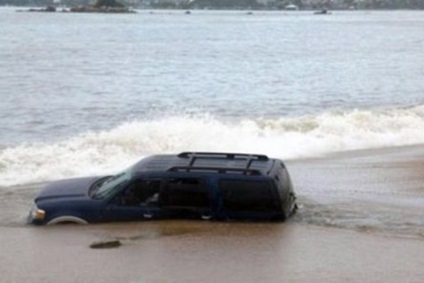 nisipuri mișcătoare de coastă (nisipuri mișcătoare de coastă) nisipuri mișcătoare de coastă