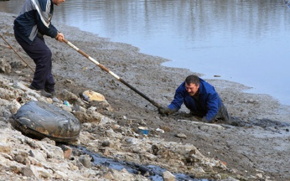 nisipuri mișcătoare de coastă (nisip) nisipuri mișcătoare de coastă