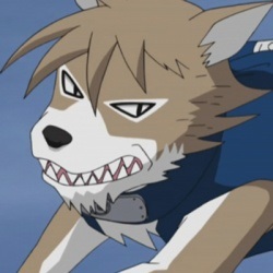 Apelul a Kakashi 8 câini ninja - Animale Înrolare - Ninja lume - Editor - Grand Naruto (Naruto) Apelul a Kakashi 8 câini ninja - Animale Înrolare - Ninja lume - Articole Directory - Naruto Grand