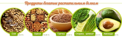 Alimentele bogate în proteine (e) Alimentele bogate în proteine