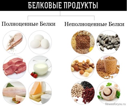 Alimentele bogate in proteine (proteine) Alimentele bogate în proteine