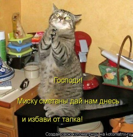 Despre pisica, despre smantana (smântână) Despre pisica, despre smantana