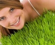 germeni de grâu comentarii dieta, modul de a face proprietăți utile, rețete - viața mea (dieta) germeni de grâu comentarii dieta, modul de a face proprietăți utile, rețete - viața mea