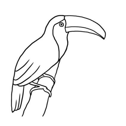 Cum de a desena o pasăre Toucan (Toucan) Cum de a desena o pasăre Toucan