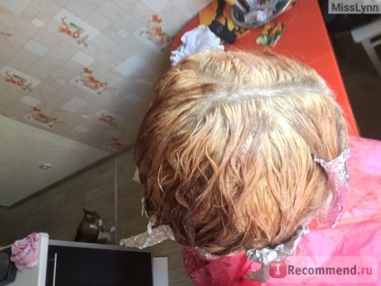 Pudrate păr înălbitor Estel Princess essex - «din negru, pictat 6 ani da! (Randament) Pudrate păr înălbitor Estel Princess essex - «din negru, pictat 6 ani da!