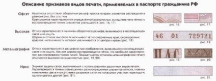 Pagina răspândește pasportaRumyniya (mări imaginea, faceți clic pe) Paginile rândul său, ale pașaportului Federației Ruse