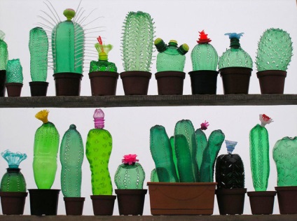 sculpturi realiste din sticle de plastic cactus, broaște, crocodili și nu doar (realist) sculpturi realiste din sticle de plastic cactus, broaște, crocodili, și nu numai