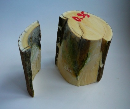 sculptură Bone (sculptură) sculptură în oase