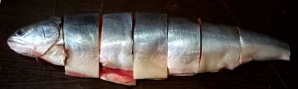 beneficii de pește Loach și a efectelor nocive, în cazul în care de obicei, retete delicioase (char) beneficii de pește Loach și, în cazul în care de obicei dauneaza, retete delicioase