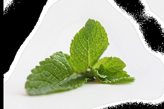 Ceaiul Richman organic - ca un astfel de ceai organic (organic) ceai organic Richman - ceea ce este ceaiul organic