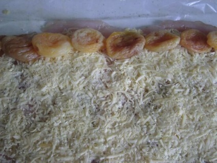 Rola de pui cu caise uscate de pui fotografie, preparat prin deliciously (file) Rola de pui cu caise uscate de pui fotografie, preparat prin deliciously