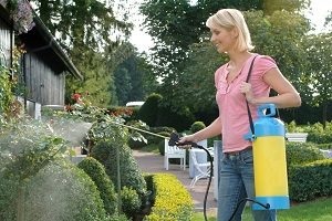 Pulverizatoare pentru grădină - tipuri, structura și criteriile de selecție (dispozitiv) Pulverizatoare pentru grădină - tipuri, criterii de structură și de selecție