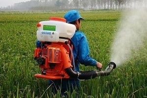 Pulverizatoare pentru grădină - tipuri, structura și criteriile de selecție (pulverizatoare) Pulverizatoare pentru grădină - tipuri, criterii de structură și de selecție