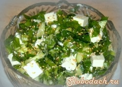 Salata - Emerald City (susan) Salata - Emerald City