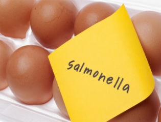 căi salmoneloză transmitere și metode de infecție (cale) căi de transmitere salmoneloză și metode de infecție