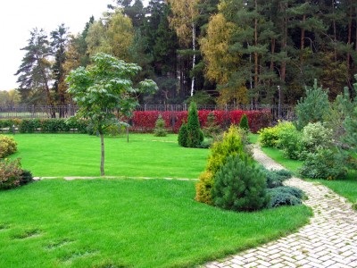 În cazul în care pentru a începe de plantare și de amenajare a teritoriului zonei suburbane, în apropiere de casa (paturi de flori și peluze) În cazul în care pentru a începe de plantare și de amenajare a teritoriului zonei suburbane, în apropiere de casa