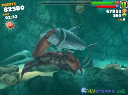 Secretele de evoluție rechin foame, descărca hangri Shark Evolution mod (evoluție) Secretele de evoluție rechin foame, descărca hangri Shark Evolution mod