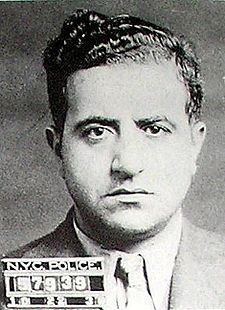 familiei mafiote Gambino (familia) familiei mafiote Gambino
