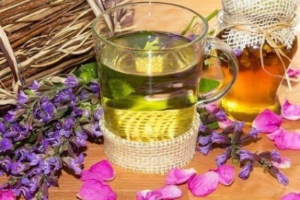 Sage masca facială, ulei, infuzie, decoct răspunsurilor pielii faciale salvie (infuzie) Sage masca faciala, ulei, infuzie, decoct de salvie recenzii faciale ale pielii