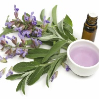 Sage în cosmetologie - Folosiți iarbă (apă caldă fiartă) Sage în produsele cosmetice - utilizarea de plante
