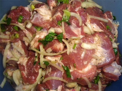 Carne de porc cu kiwi - retete simple, (reteta gratar de porc) Carne de porc cu kiwi - retete simple,