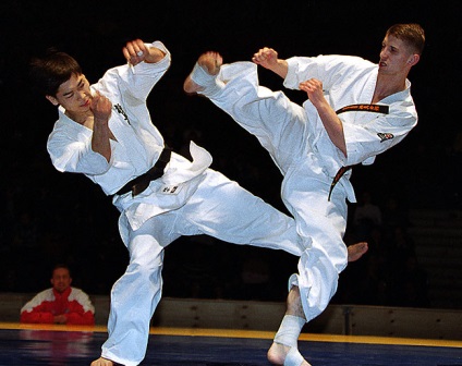 Ashihara Karate School Budokai (să zicem) Ashihara Karate a Budokai School