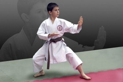 Karate Ashihara School Budokai (& amp; ndash) Ashihara Karate a Budokai School