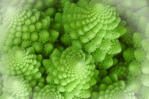 Cât de mult timp pentru a găti varza Romanesco se fierbe bine mancarea gatita pe py (timp) Cât de mult timp pentru a găti varza Romanesco se fierbe bine mancarea gatita pe ru