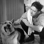 Dog-actor, (actori autograf câine-film) autograf Dog-actor, autograf