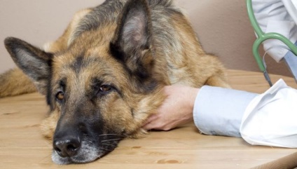 infecție Metode răpciugă (infecție) infecție Metode răpciugă